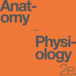 Anatomy and Physiology 2e